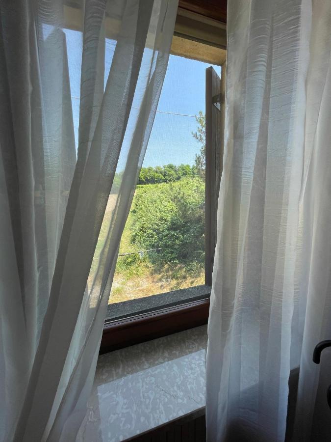 Ferienwohnung Casa Loredana - Graziosa Casa Vacanze Sul Lago Di Garda Cavalcaselle Exterior foto